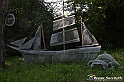 VBS_4858 - Il bosco fatato - Montaldo Roero